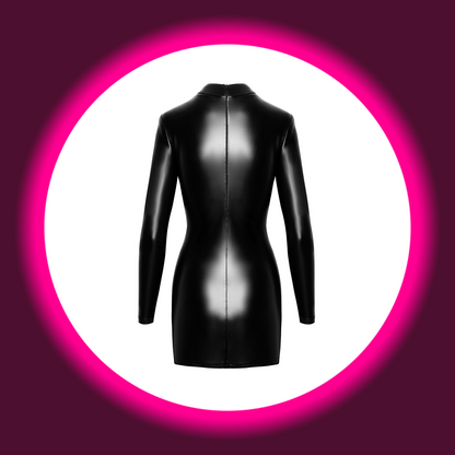 Rückansicht schwarzes langärmeliges glänzendes Minikleid mit Reißverschluss von Noir Handmade